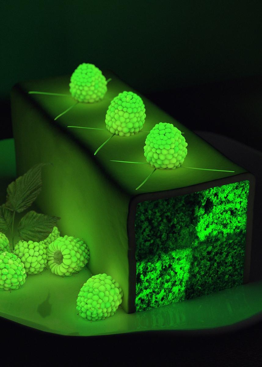 From the "Safe and Sound Poster Series", 2015  Image processed by Shan Blume