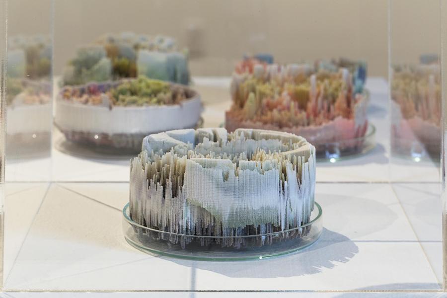 [macro]biologies II: organisms art laboratory
