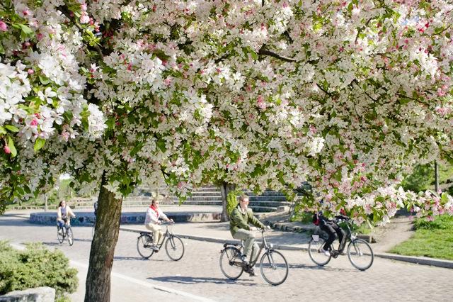 Photograph: Benjamin Hörbe // 9 out of 13 at Meinblau 