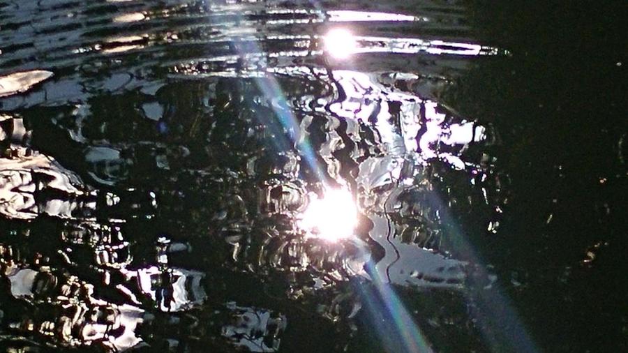 20170618_172539 © Christin Bolte 20170618_172539 © Christin Bolte