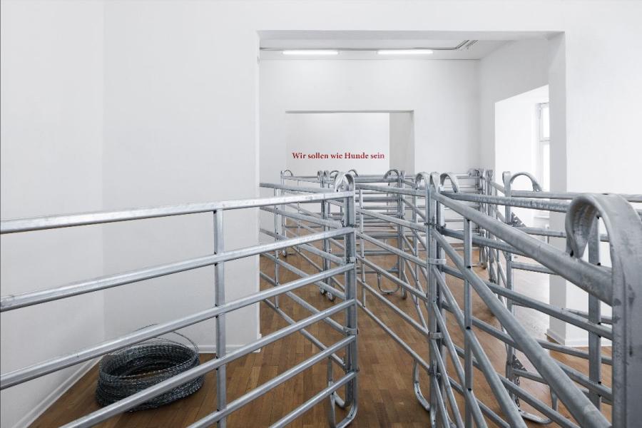 installation view: ZIERVOGEL - Wir sollen wie Hunde sein, Haus am Lützowplatz (HaL), 2023, Foto: Andreas Schimanski installation view: ZIERVOGEL - Wir sollen wie Hunde sein, Haus am Lützowplatz (HaL), 2023, Foto: Andreas Schimanski