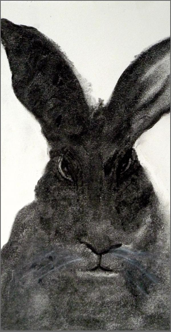 Pale Shelter @Axel Obiger