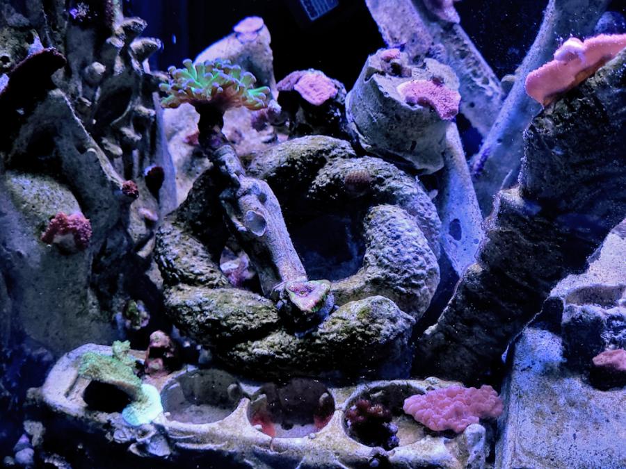 Image: © Michel Aniol, Strange Paradise, 2024 Image: © Michel Aniol, Strange Paradise, 2024