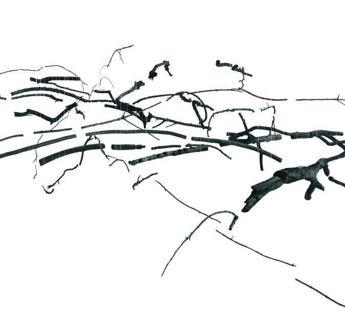 Anthrakotek_UlrikeMohr Anthrakotek_UlrikeMohr