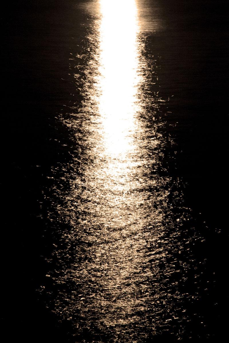 Hey Moon it's just you and me tonight #1- Leila Morrissey Hey Moon it's just you and me tonight #1- Leila Morrissey