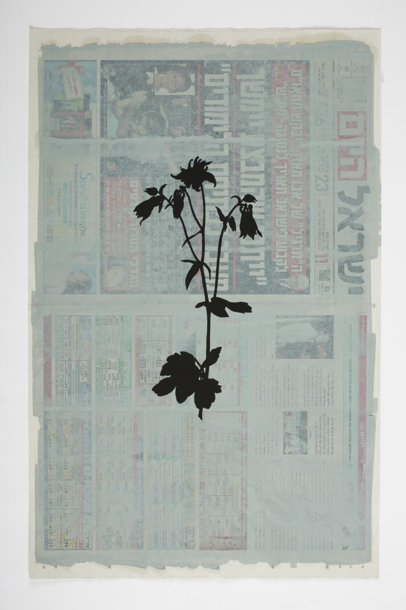 Das kleine Blumenbuch Larry Abramson