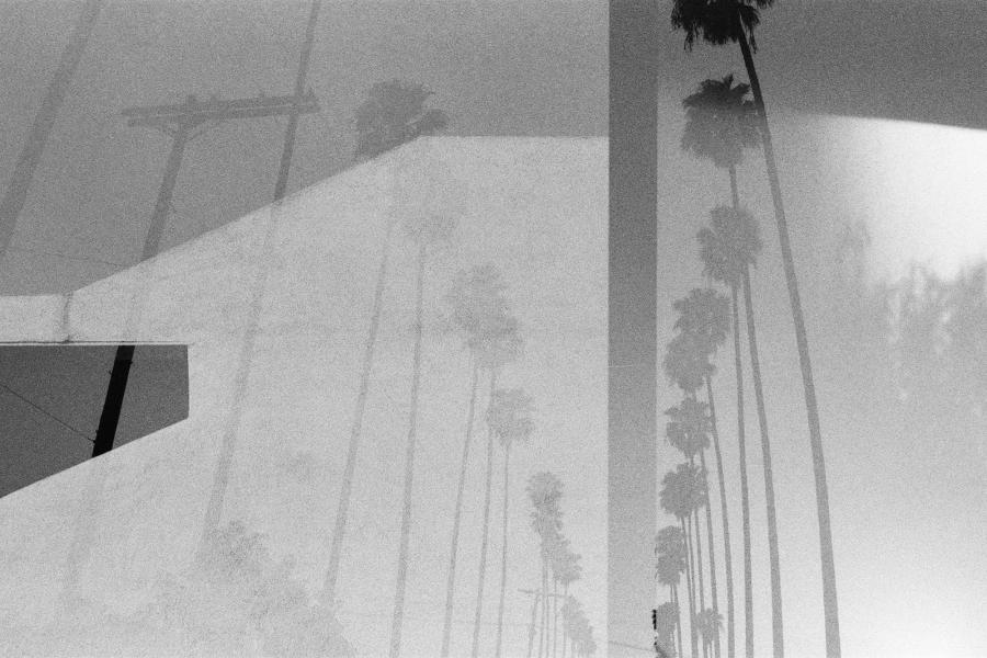 Michael Kent - California is not an Island, Das Gift Michael Kent - California is not an Island, Das Gift