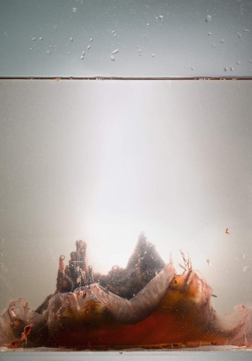 Nathalie Grenzhaeuser, Tank, Archival Fine Art Print hinter Plexiglas, 160 x 111 cm, 2020/24 Nathalie Grenzhaeuser, Tank, Archival Fine Art Print hinter Plexiglas, 160 x 111 cm, 2020/24