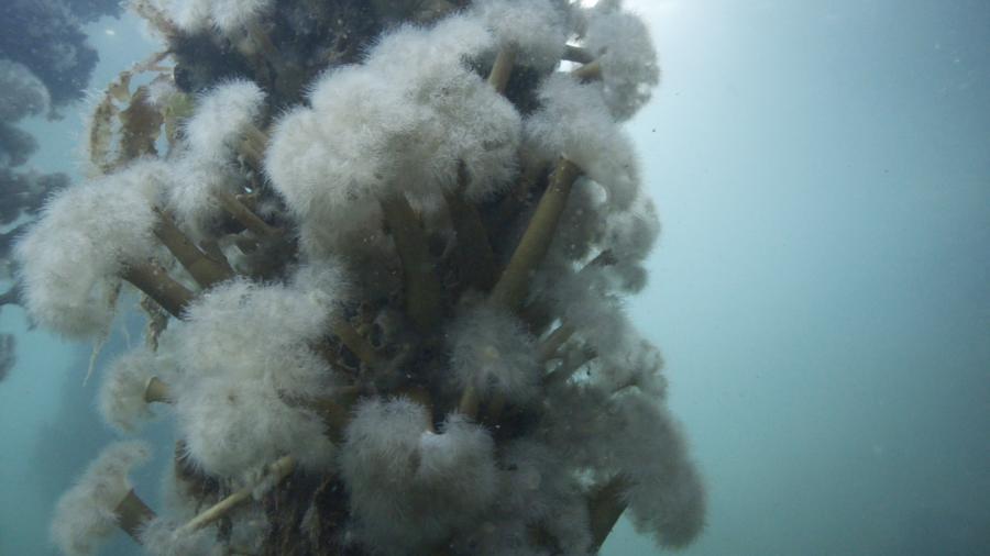 No Place Rising (still frame), 2016