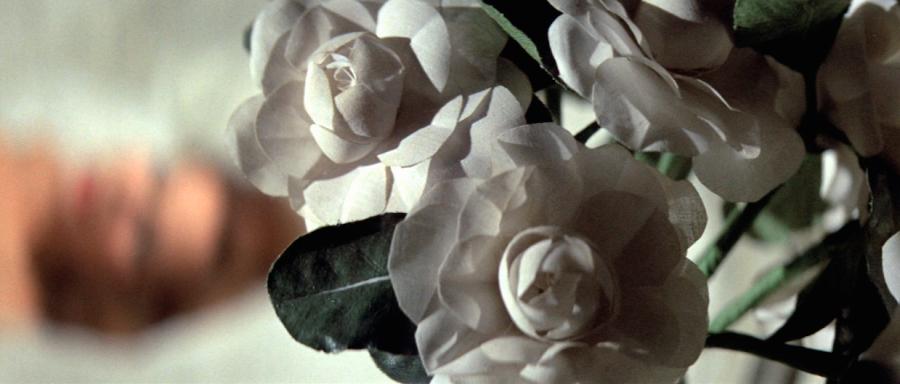 Amie Siegel, Genealogies, 2016, HD video, (c) Amie Siegel, courtesy Simon Preston Gallery, New York Amie Siegel, Genealogies, 2016, HD video, (c) Amie Siegel, courtesy Simon Preston Gallery, New York