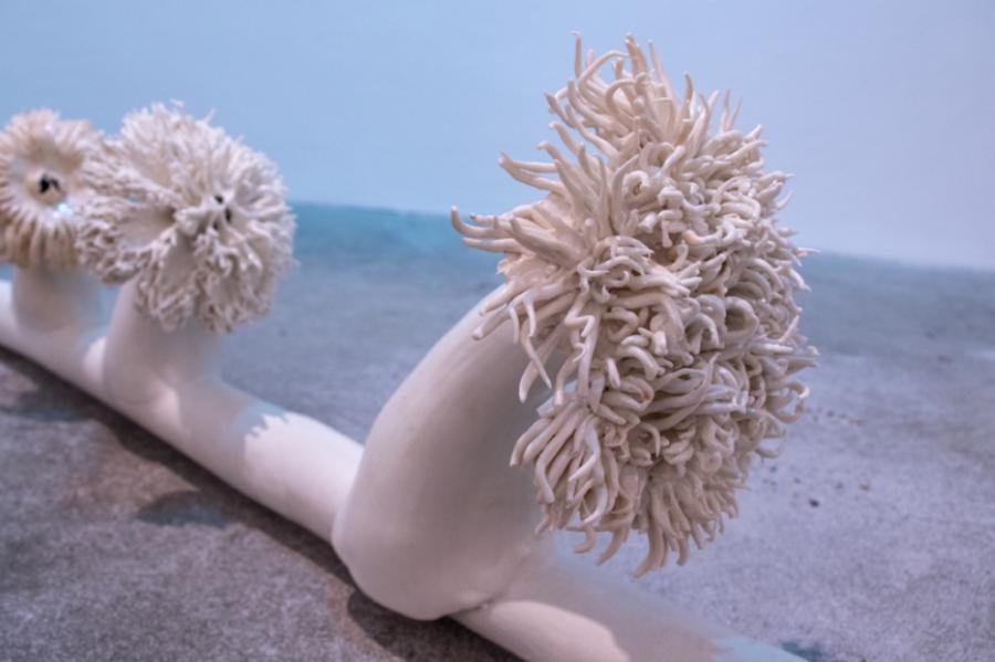 Caption: Elisa Strinna, Third Nature; Electrical Symbiosis; Cables and Sea Anemone, 2021, photo: Elisa Strinna Caption: Elisa Strinna, Third Nature; Electrical Symbiosis; Cables and Sea Anemone, 2021, photo: Elisa Strinna