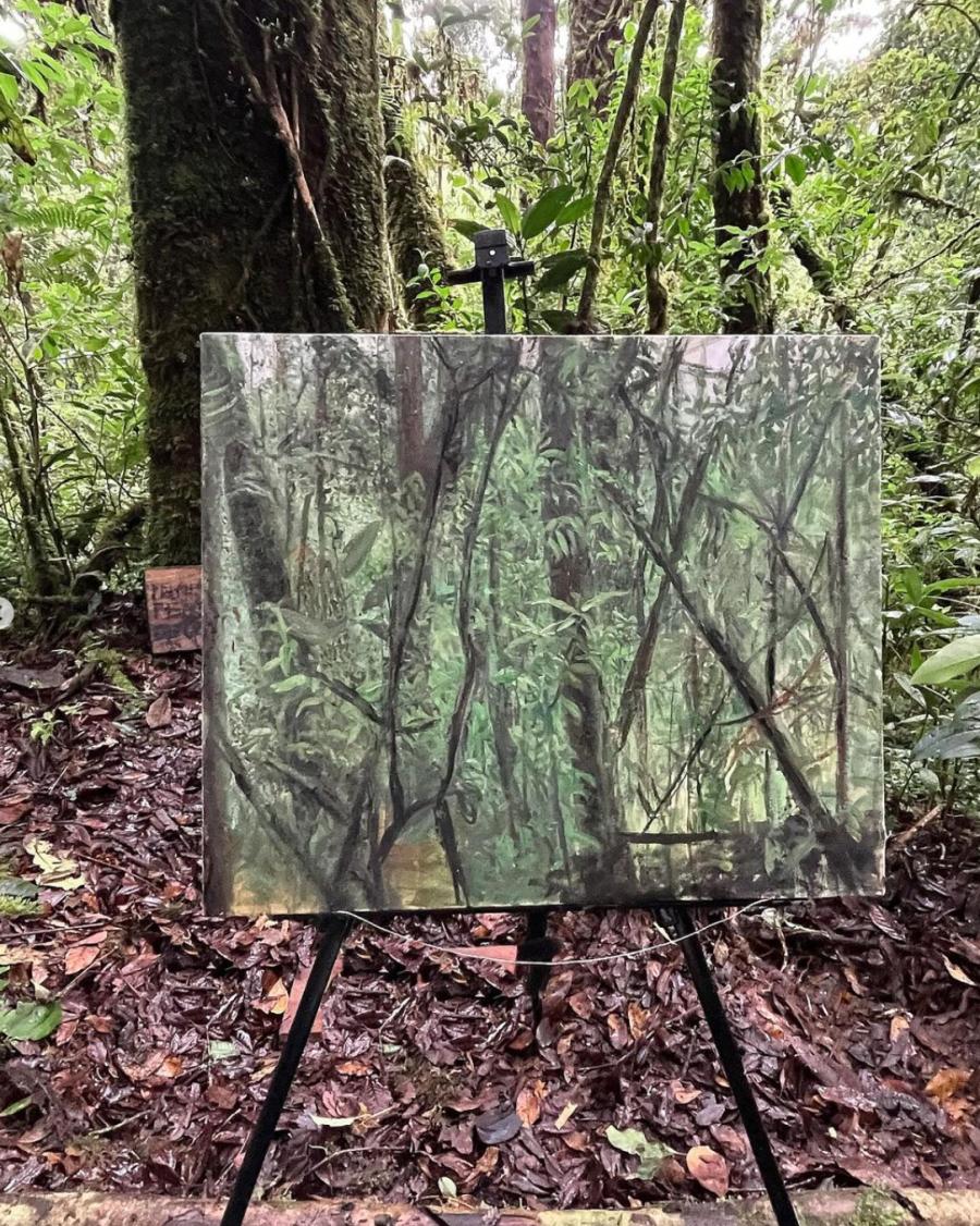 Painting in a cloud forest, North Highlands, Guatemala, 2023 Photo by Haley Mellin Painting in a cloud forest, North Highlands, Guatemala, 2023 Photo by Haley Mellin