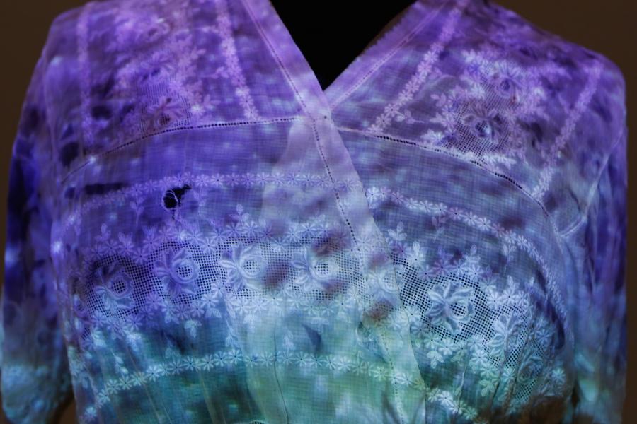 The Communicating Bacteria Dress (detail) by Anna Dumitriu Photo (C) Tim Deussen The Communicating Bacteria Dress (detail) by Anna Dumitriu Photo (C) Tim Deussen