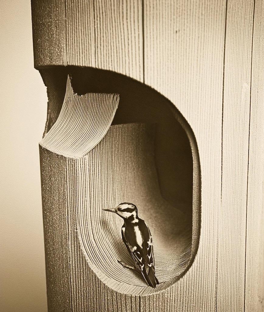© Animal Architecture Collective © Animal Architecture Collective