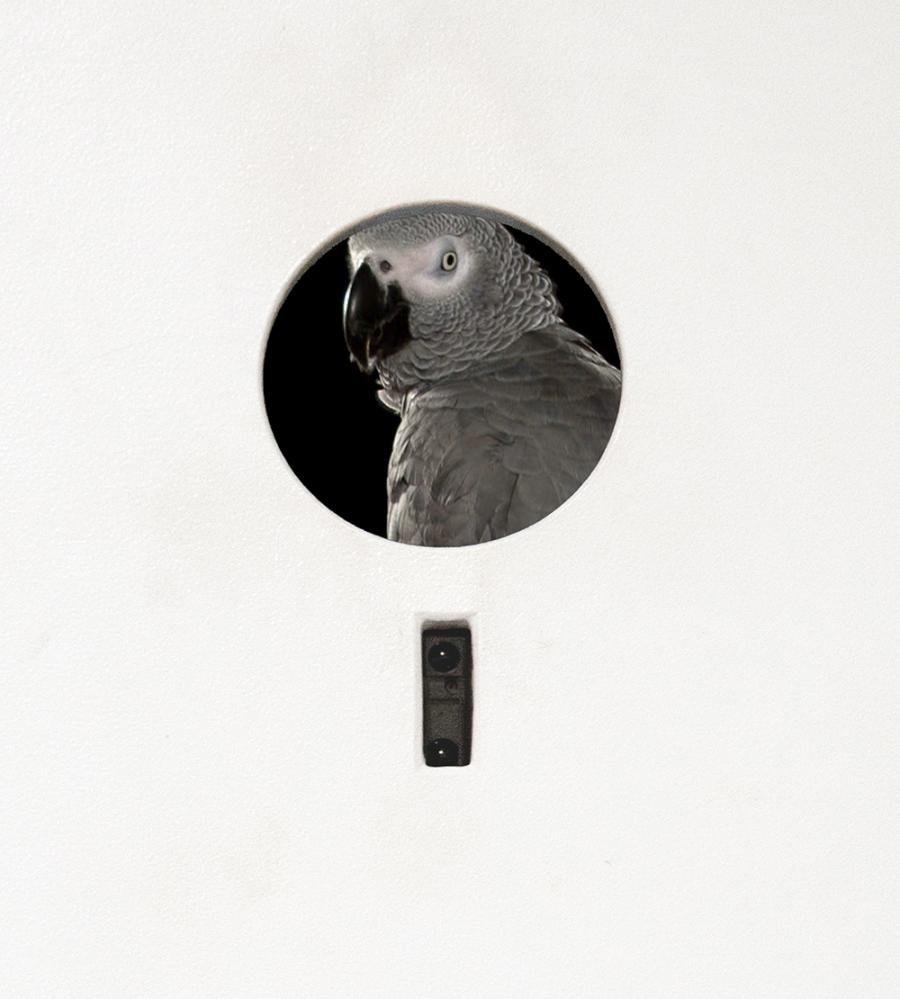 Hörner|Antlfinger, we, animals–biographies