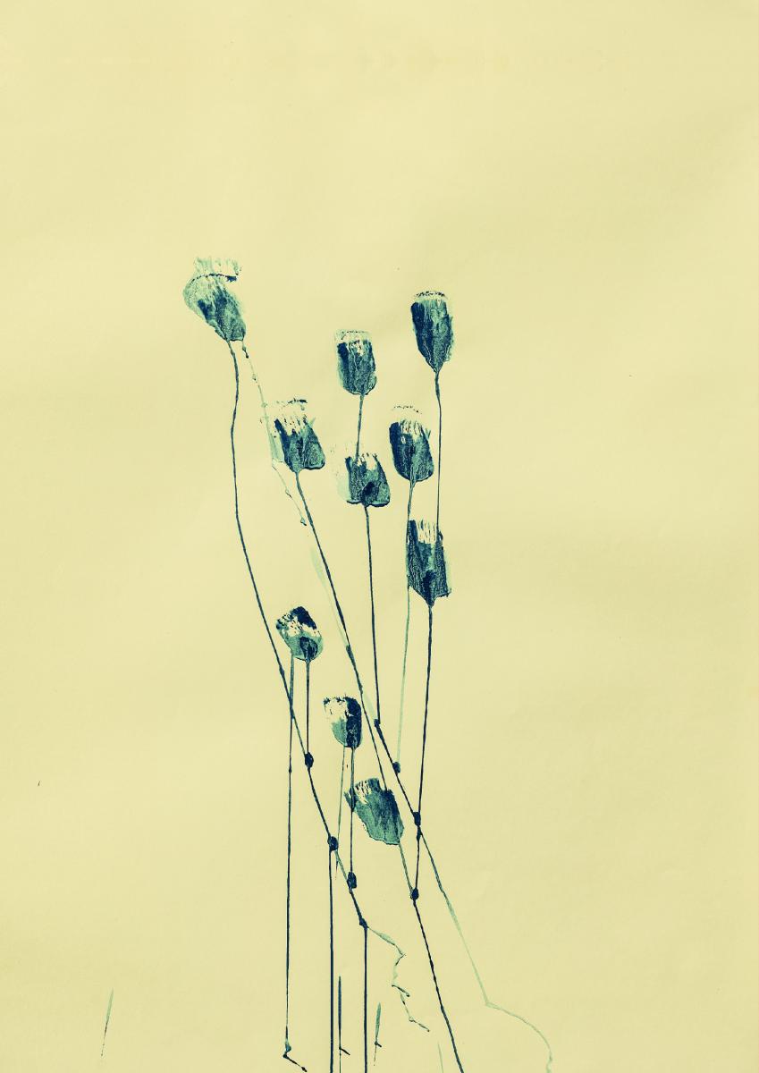 Discover "Instinktverstärkungselixiergarten" the "Planetary Plants" series: An Artistic Ode to Fictional Biodiversity at Ronewa Art Projects Mireille Gros, Planetary Plant (Blue) 1, 2022, Ink on paper, 100 x 70 cm, 39 3/8 x 27 1/2 in Discover "Instinktverstärkungselixiergarten" the "Planetary Plants" series: An Artistic Ode to Fictional Biodiversity at Ronewa Art Projects Mireille Gros, Planetary Plant (Blue) 1, 2022, Ink on paper, 100 x 70 cm, 39 3/8 x 27 1/2 in