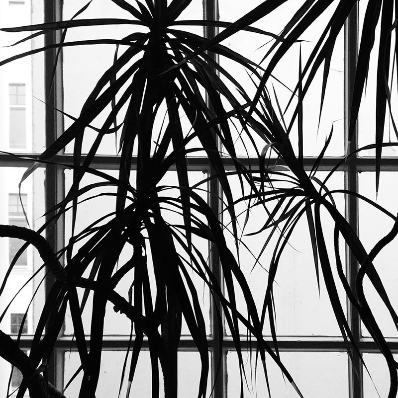 Garten a.V. Garten a.V.