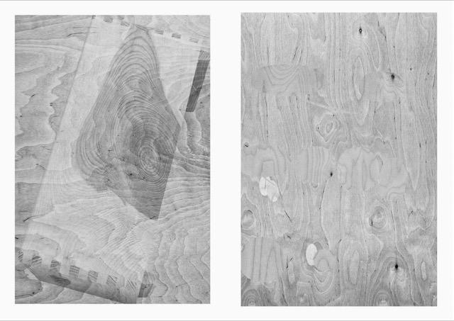 morph_Komposit 2 und 8, 70x50 cm, Fotografie Digitalprint, Bildrecht Wien, Walter Ebenhofer morph_Komposit 2 und 8, 70x50 cm, Fotografie Digitalprint, Bildrecht Wien, Walter Ebenhofer