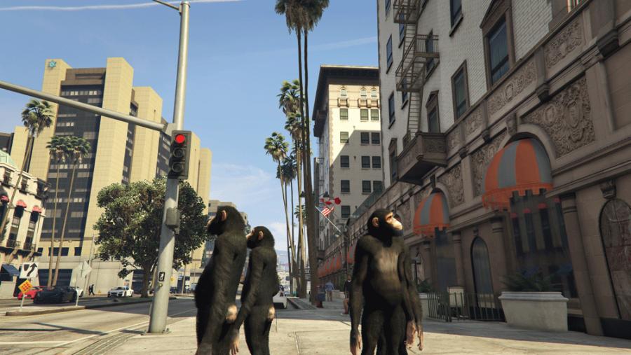 Image attached: ©Thomas Hawranke, Grand Ape Town, Machinima, 1920 X 1080P, 13:30 Min.