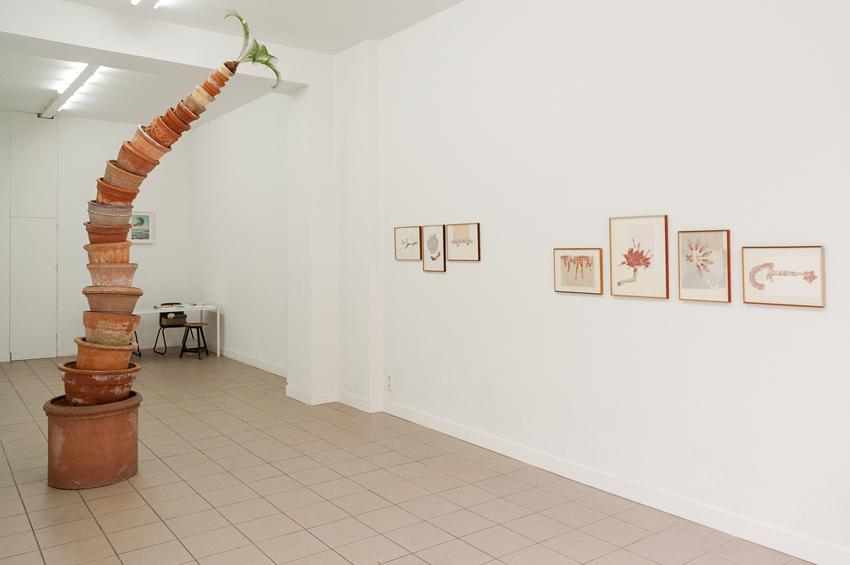 zweite Natur " | "second nature