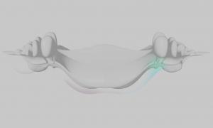 Image credit: Benjamin Penaguin 