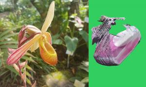  Image icon Corinna Berndt - Streaming Data is the Ultimate Trust Exercise with the Moon