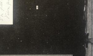 copyright Dominique Hurth