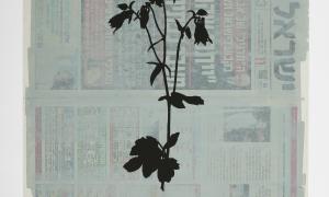 Das kleine Blumenbuch Larry Abramson