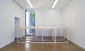 Surface de transformation, 2016, wood, plaster, variable dimensions