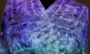  The Communicating Bacteria Dress (detail) by Anna Dumitriu Photo (C) Tim Deussen