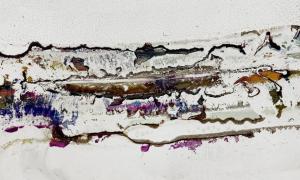  Wolfgang Ganter. Untiteld (Dirty Beach), 2013