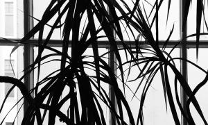  Garten a.V.